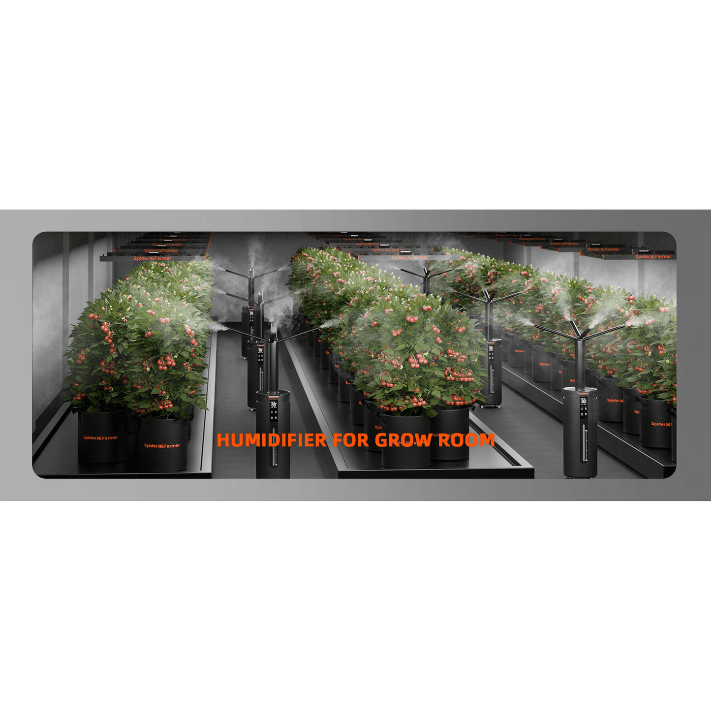 Spider Farmer Cool Mist Humidifier 16L - Midwest Grow LLC