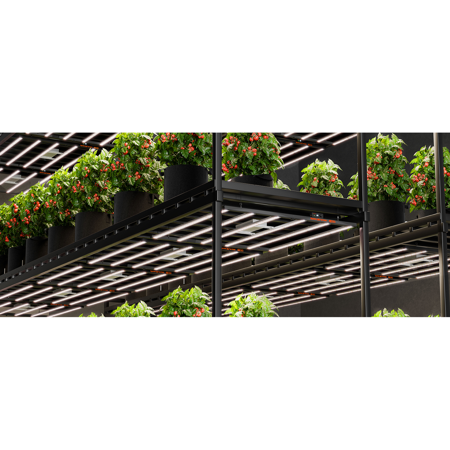 Spider Farmer SE7000 730W Dimmable Full Spectrum LED Grow Light - Midwest Grow LLC