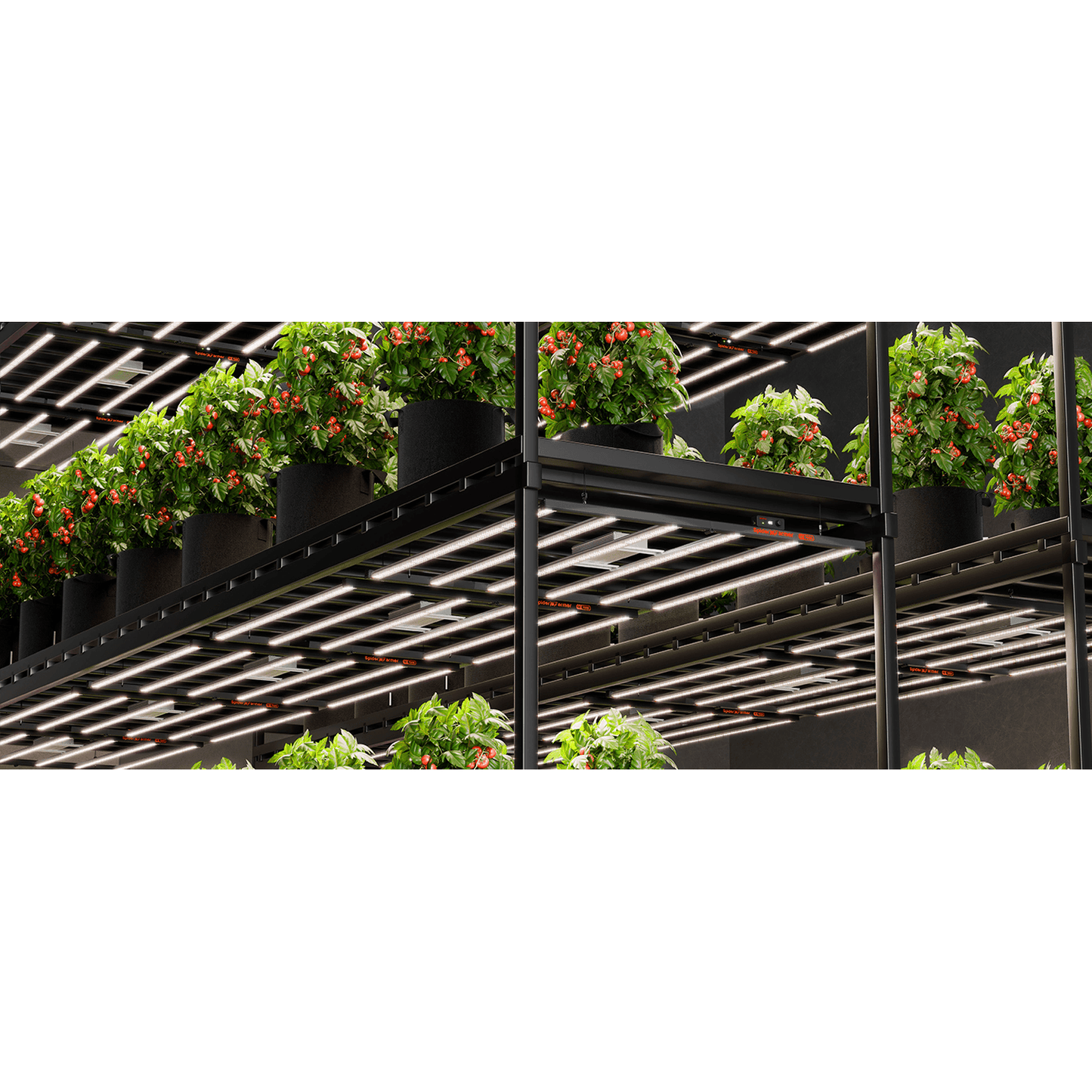 Spider Farmer SE7000 730W Dimmable Full Spectrum LED Grow Light - Midwest Grow LLC