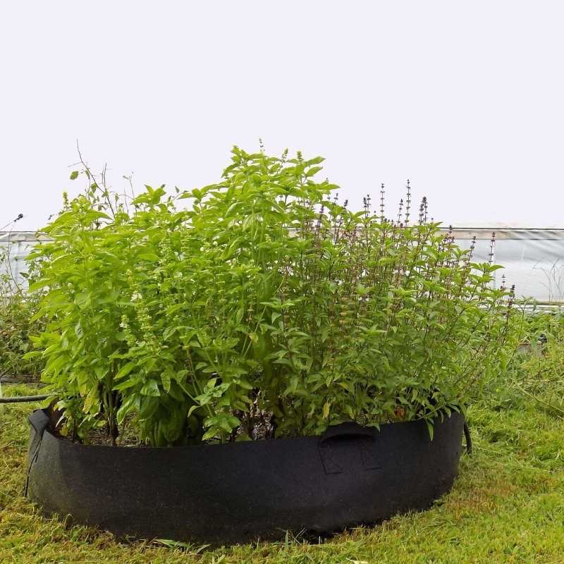 Grow Bags - 100 Gallon - Midwest Grow LLC