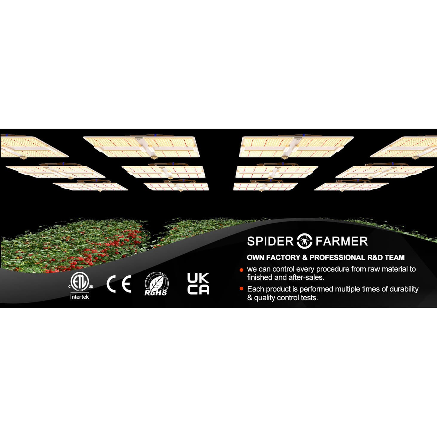 Spider Farmer SF7000 650W Dimmable Full Spectrum LED Grow Light - Midwest Grow LLC