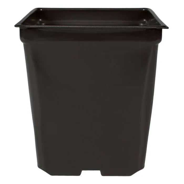 5'' x 5'' x 4.5'' Square 1.25qt Square Pot 10 pack - Midwest Grow LLC
