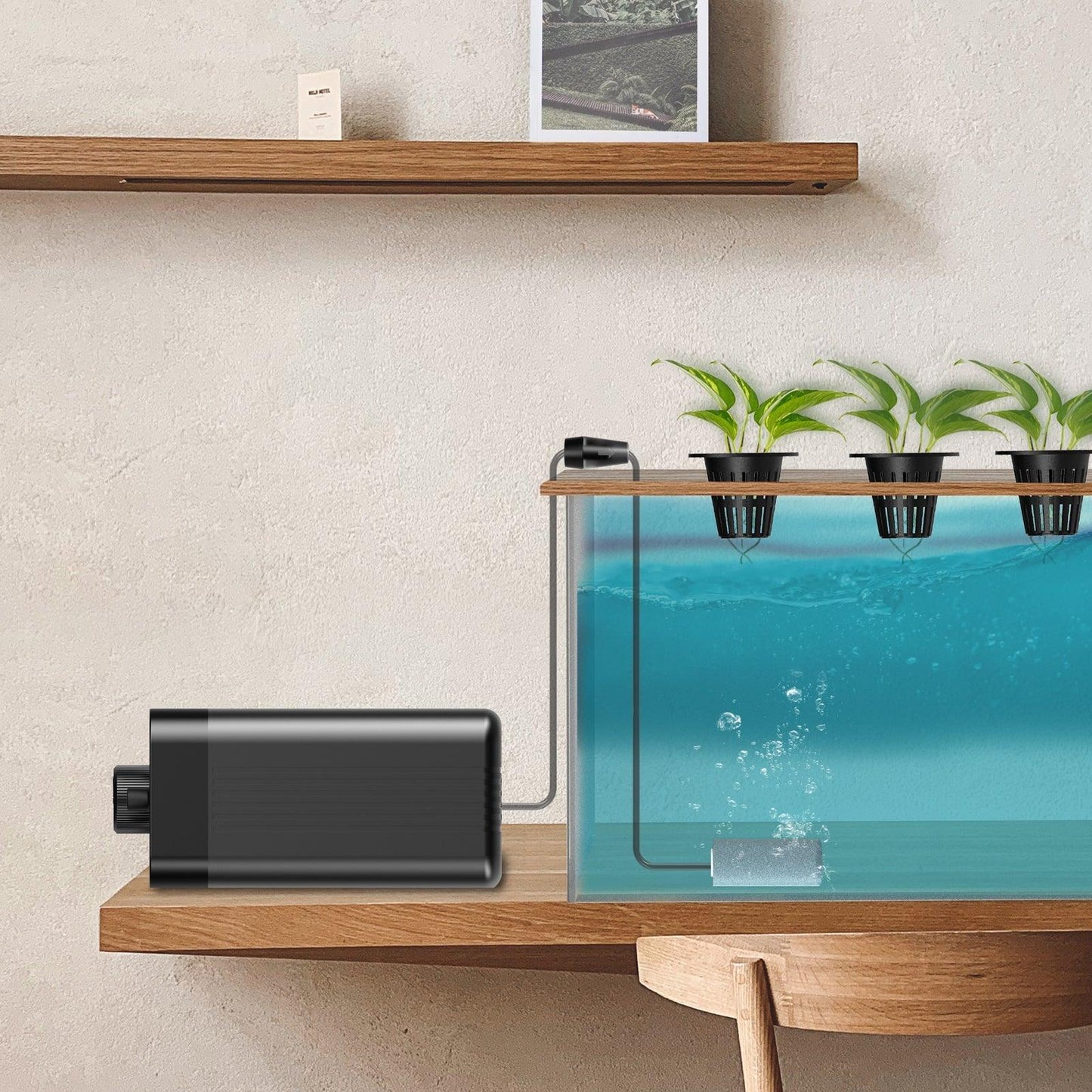 AC Infinity Hydroponics Air Pump, One-Outlet Pumping Kit, 24 GPH (1.5 L/M) - Midwest Grow LLC