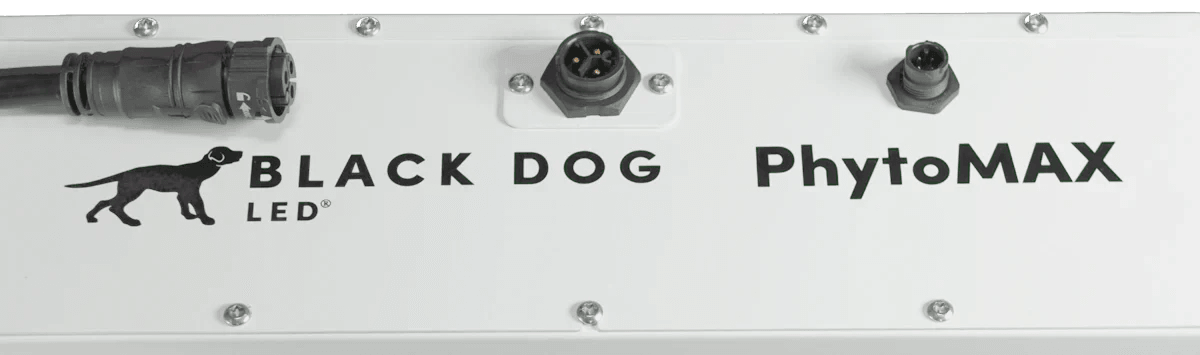 Black Dog LED PhytoMAX-4 4SC 250W LED Grow Light