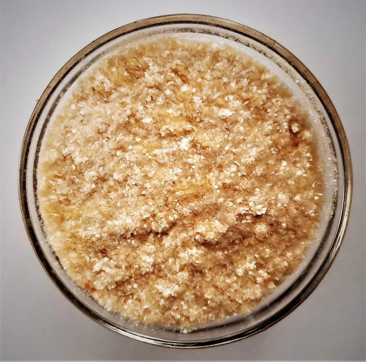 Horticultural Aloe Vera Gel Flakes 200x - Midwest Grow LLC