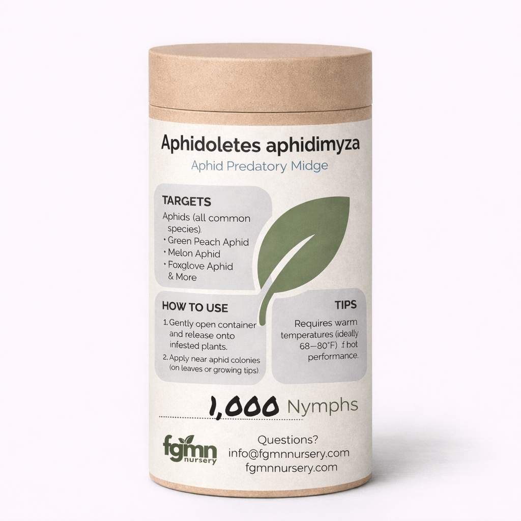 Aphidoletes aphidimyza - Midwest Grow LLC