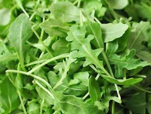 Herb Arugula, Roquette Seeds