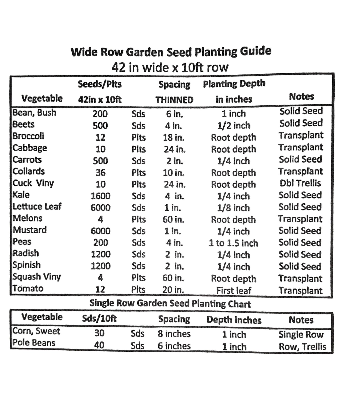 Onion Ovation Seeds