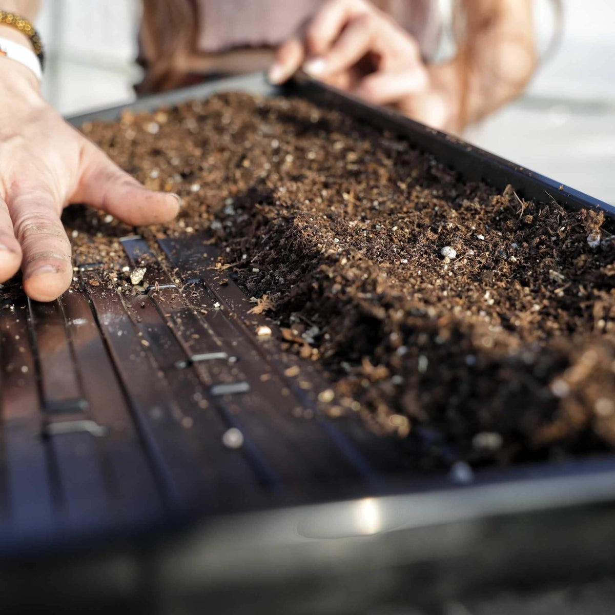 1020 Microgreen Trays | Extra Strength Shallow 1020 Trays - Midwest Grow LLC