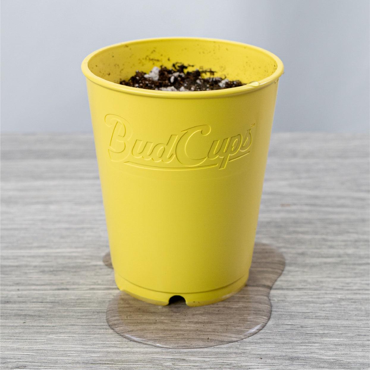 BudCups: Self-Draining - Midwest Grow LLC