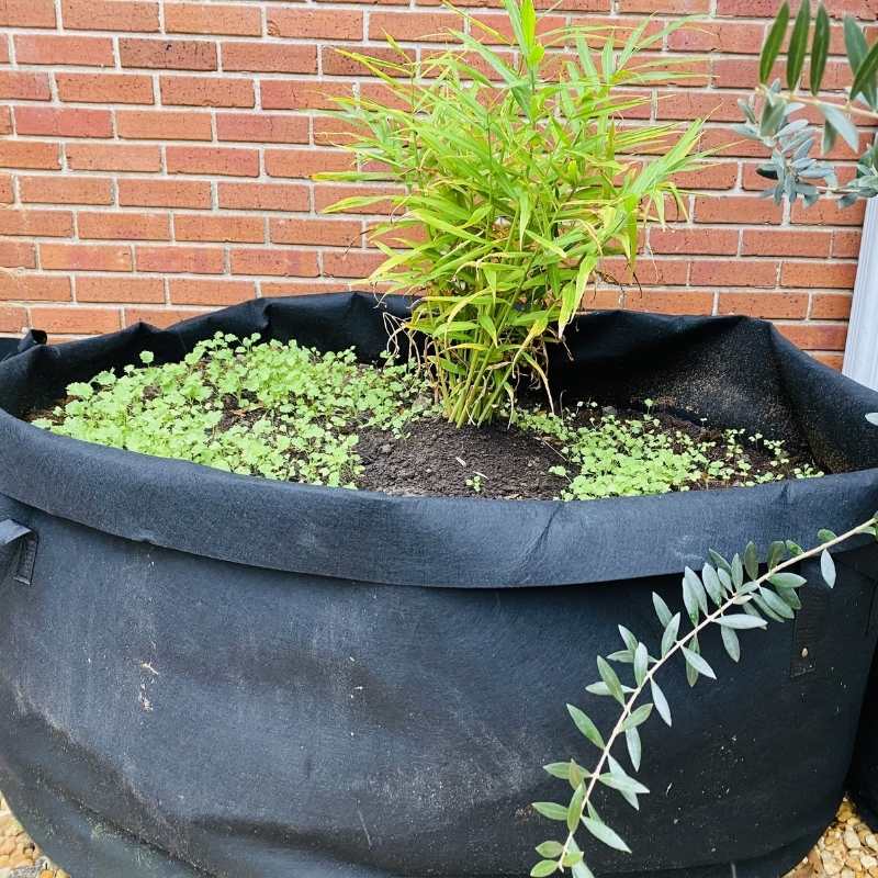 Grow Bags - 200 Gallon - Midwest Grow LLC