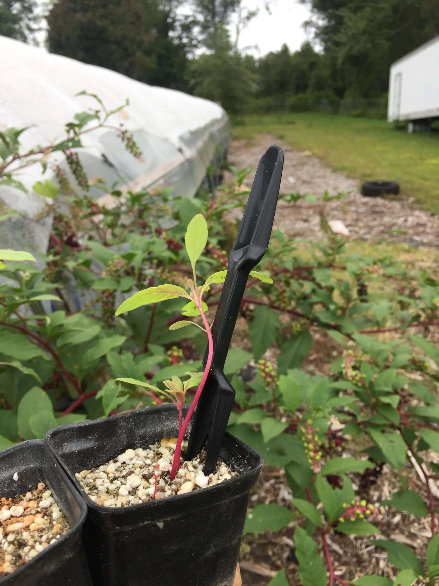 Widger Dibber Set - Midwest Grow LLC