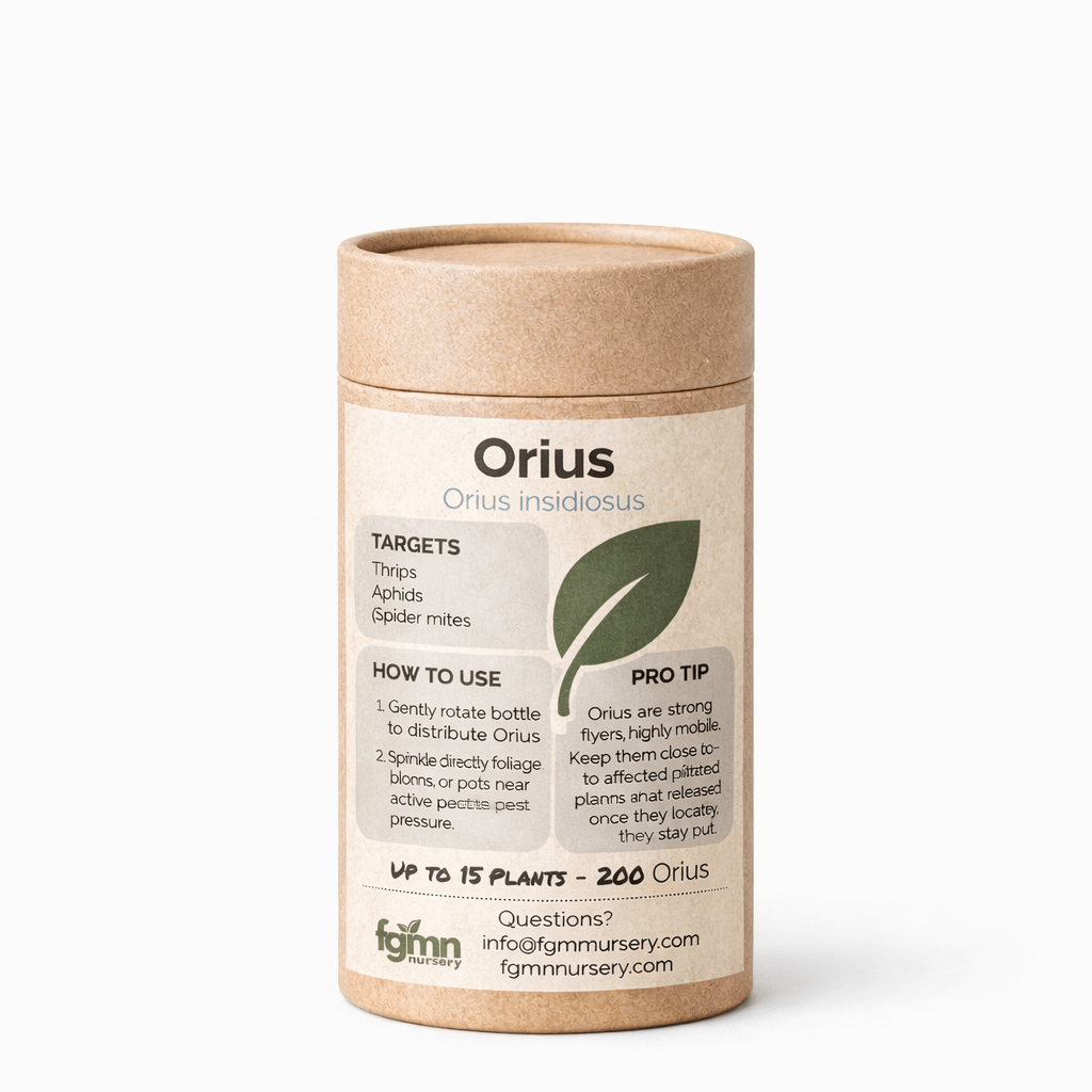 Orius Insidiosus - Midwest Grow LLC