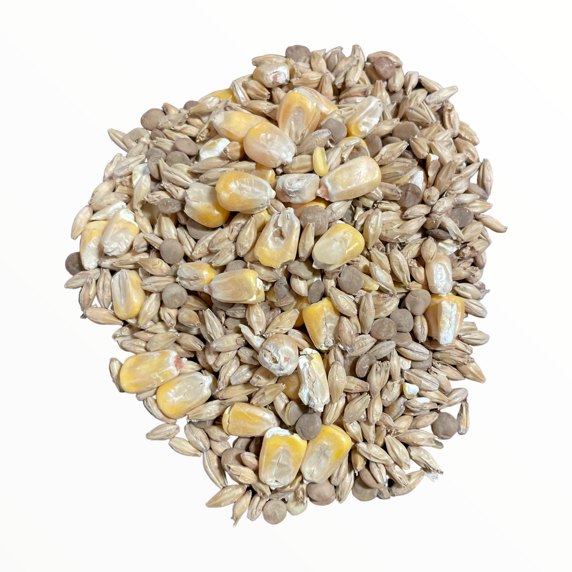 Clackamas Coots Official Gnarly Barley - Artisan Sprouted Seed Blend - Midwest Grow LLC