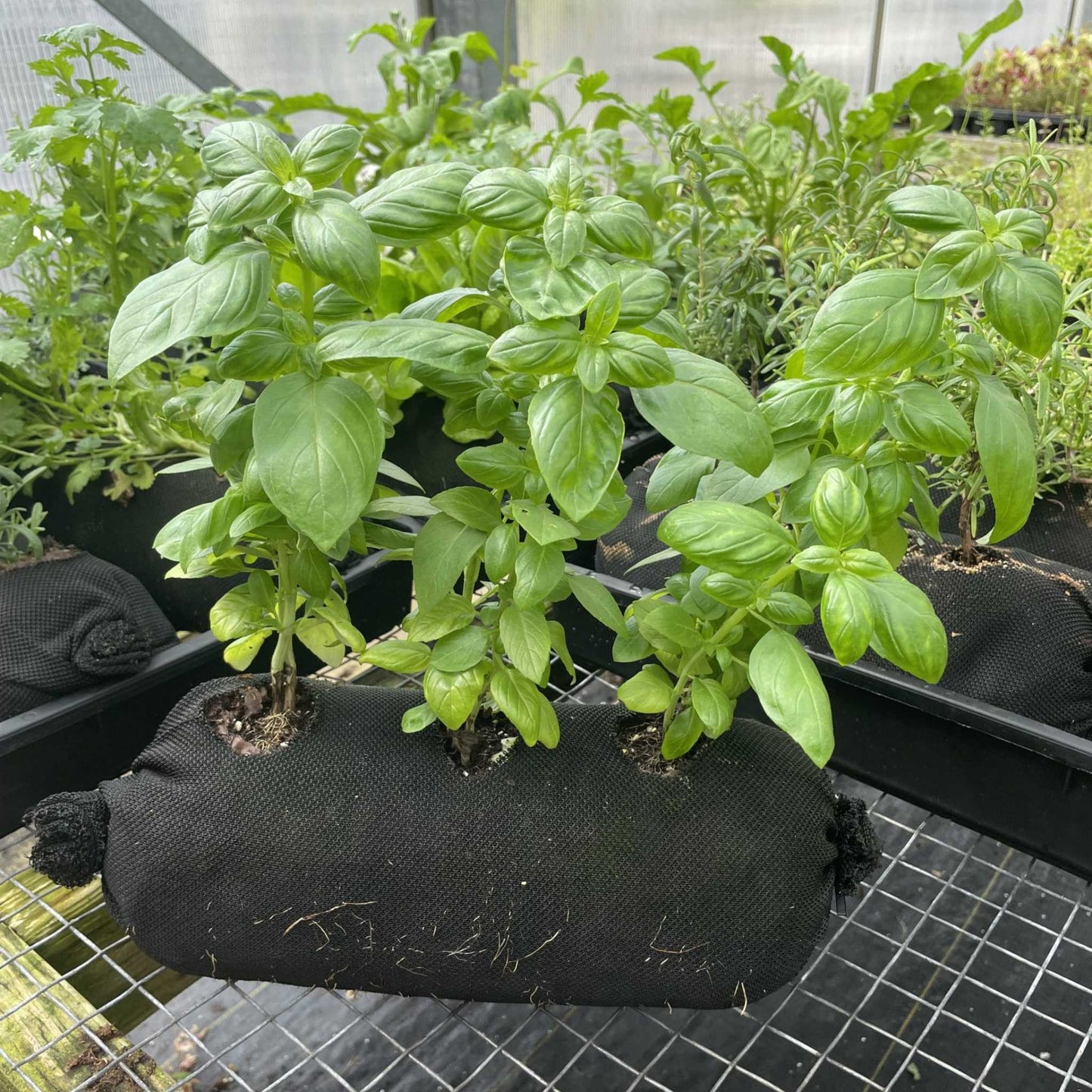 Varden™ Soil-Filled Vardensok - Midwest Grow LLC