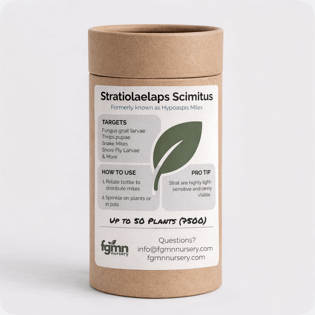 Stratiolaelaps Scimitus - Midwest Grow LLC