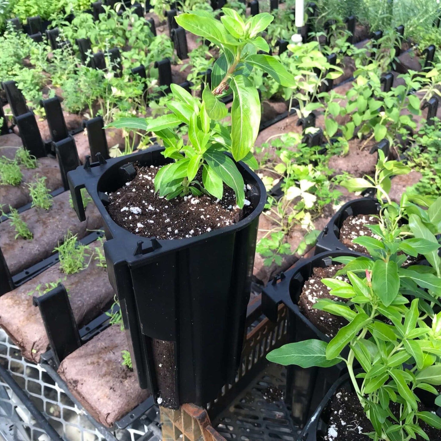 Varden™ Sleeve - Midwest Grow LLC