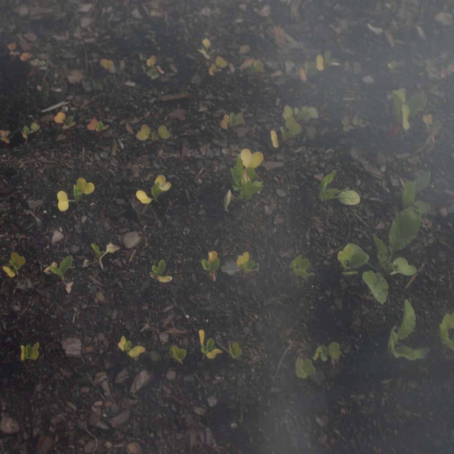 Heavy-Duty Insect Netting - Midwest Grow LLC