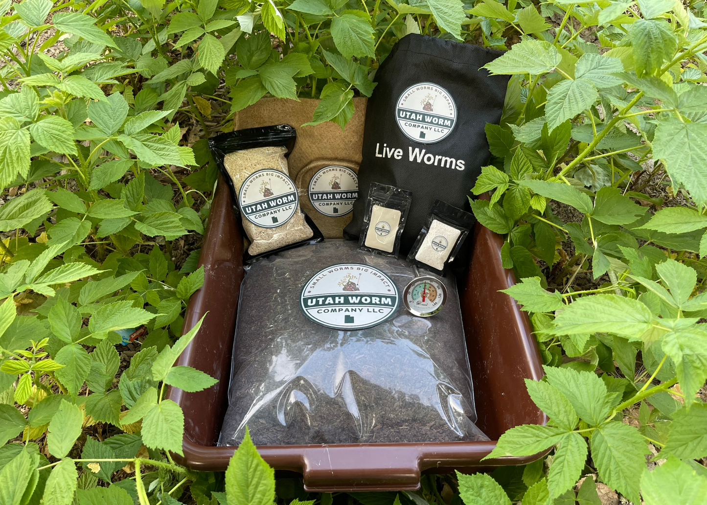 "The Wormlet" Worm Composting Kit - Midwest Grow LLC
