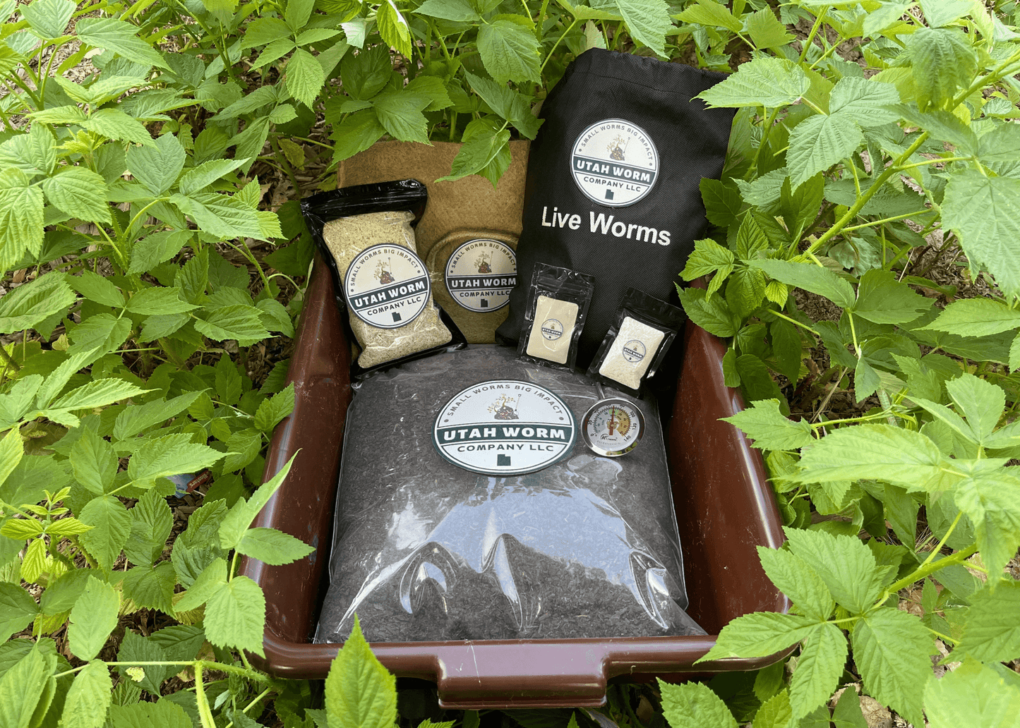 "The Wormlet" Worm Composting Kit - Midwest Grow LLC