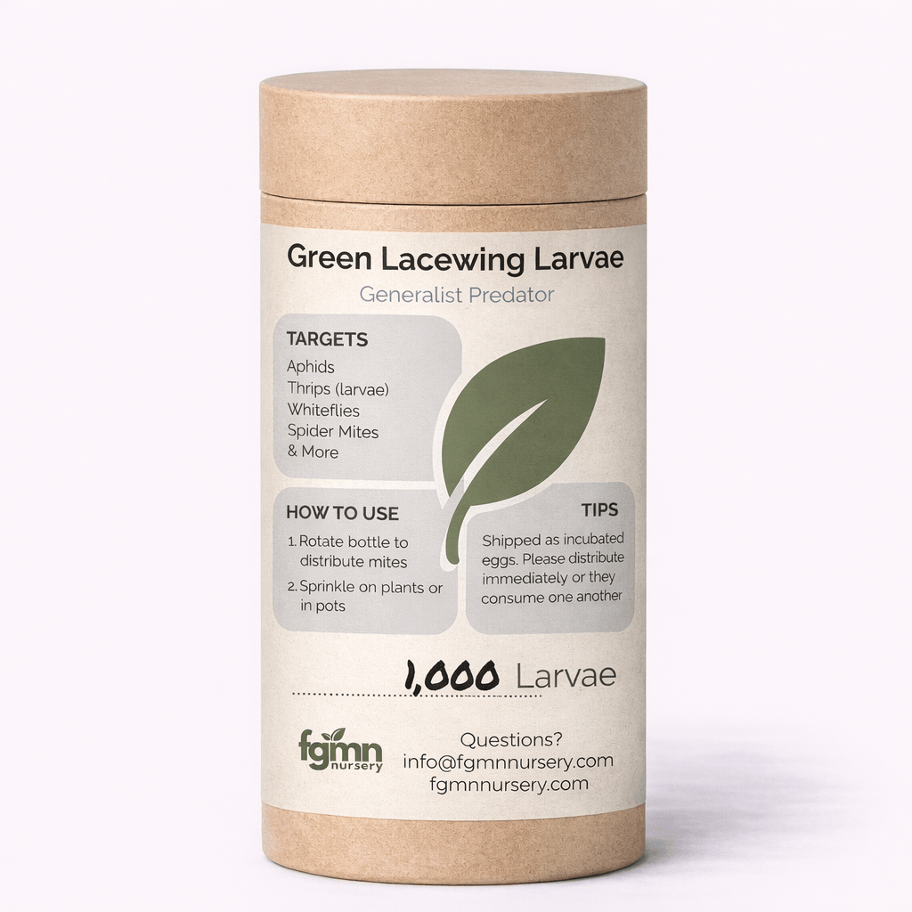 Green Lacewing Larvae - Midwest Grow LLC