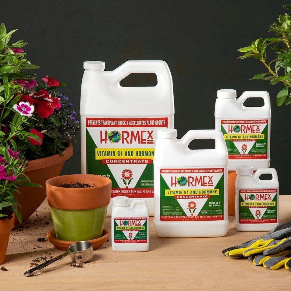 Hormex Rooting Hormone Concentrate with B1 – Root Growth Stimulator for Stronger, Thriving Plants - Prevents Transplant Shock - Hydroponics, Houseplants, Gardens, Trees, Fruits and Vegetables