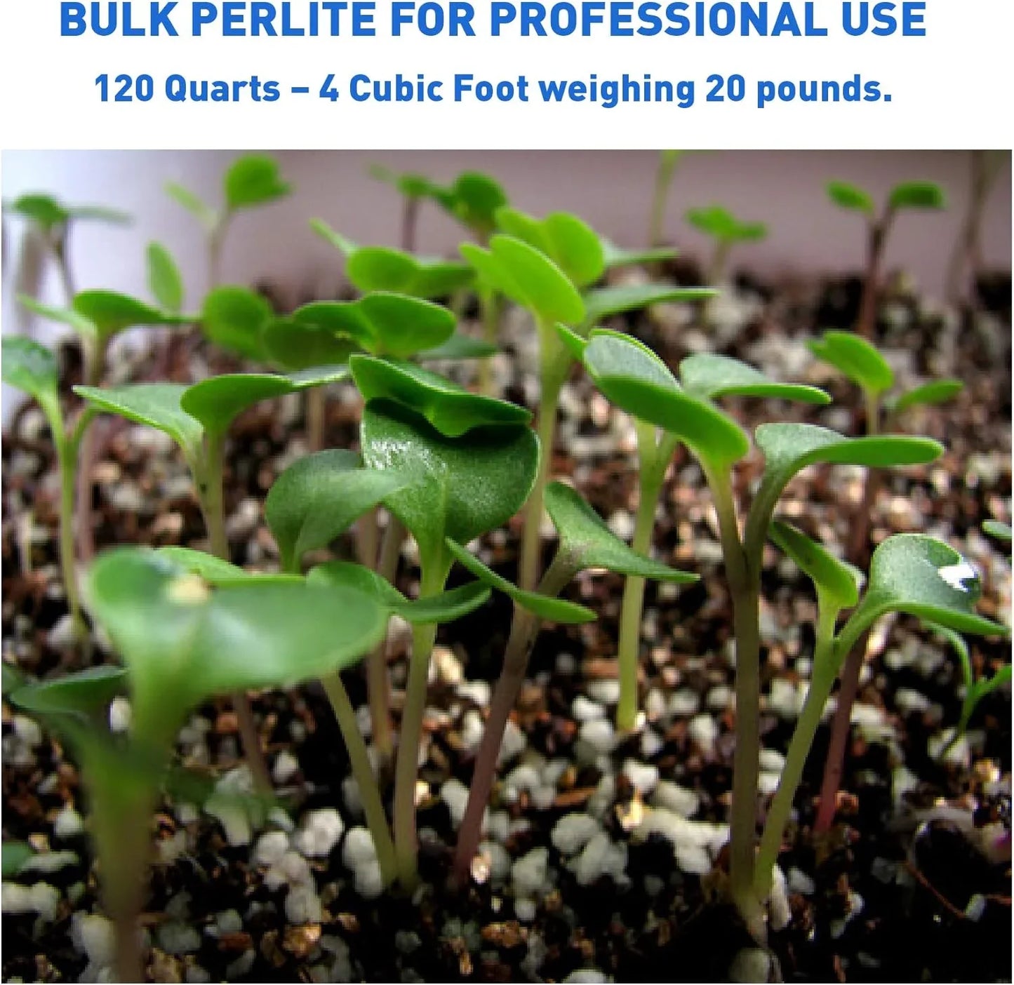PVP Industries 4 Cubic Foot of Organic Perlite - Midwest Grow LLC