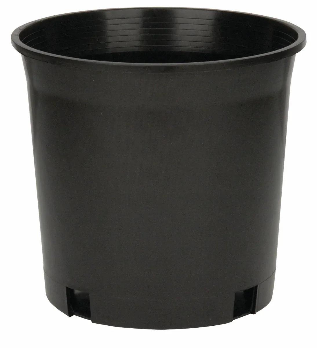 Pro Cal Premium Nursery Pot, 2 gal - Midwest Grow LLC
