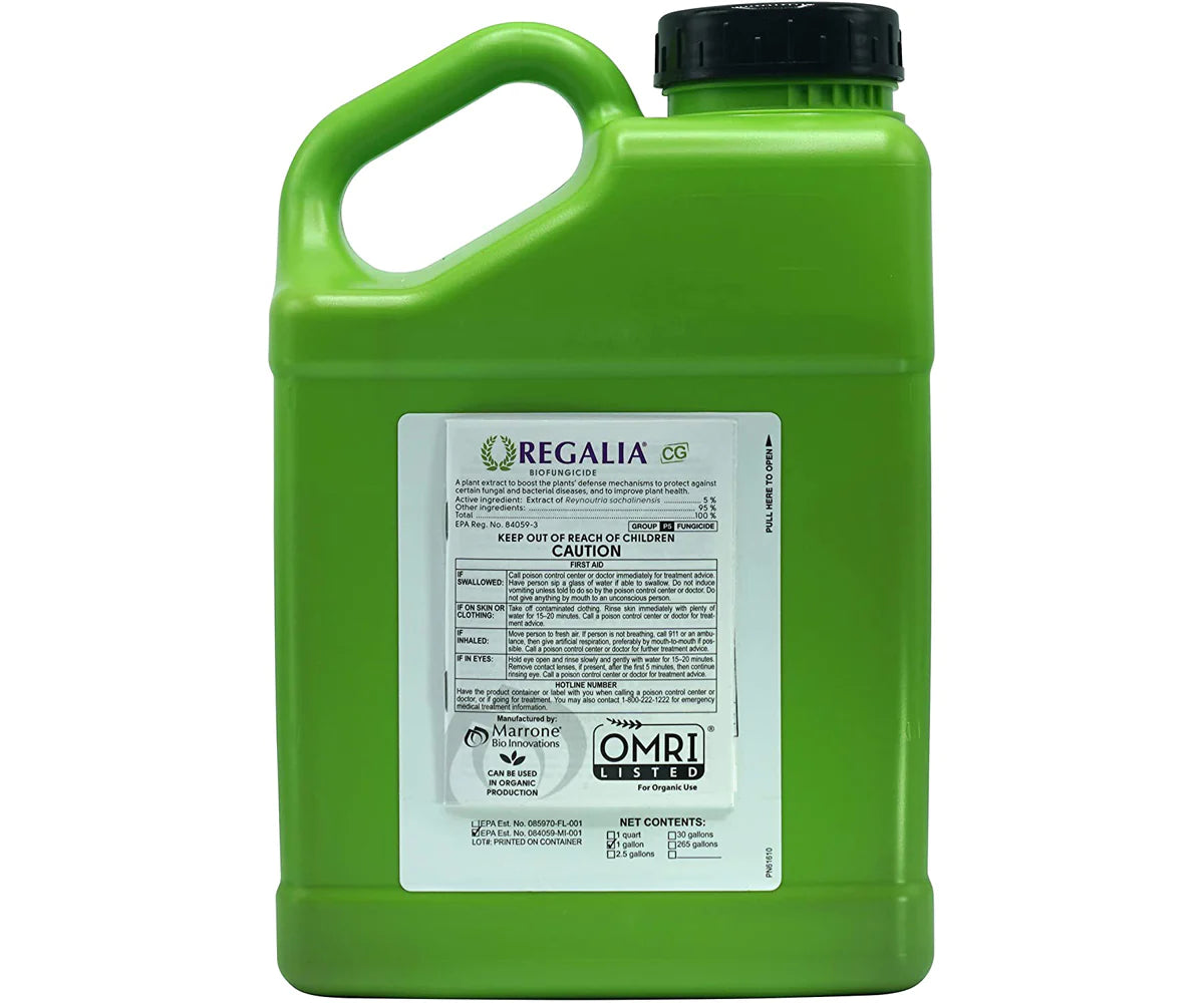 Marrone Bio Innovations Regalia CG Gallon