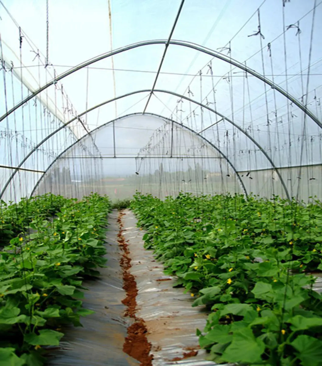 Greenhouse Woven Plastic 11 mil- Solarig 182 - Midwest Grow LLC
