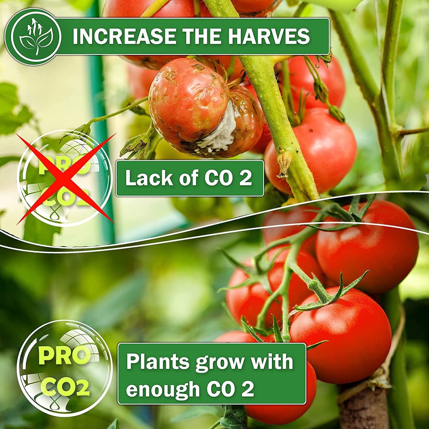 Pro Co2 Refill Bucket for Air-Forced Pro Co2