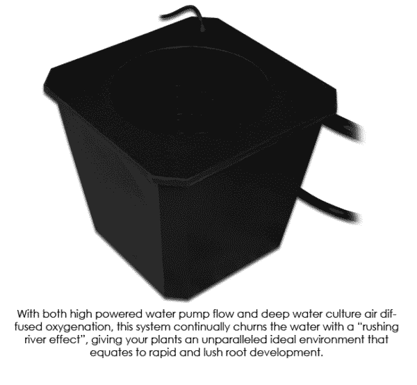 Bubble Flow Buckets Hydroponic Grow System 6-Site