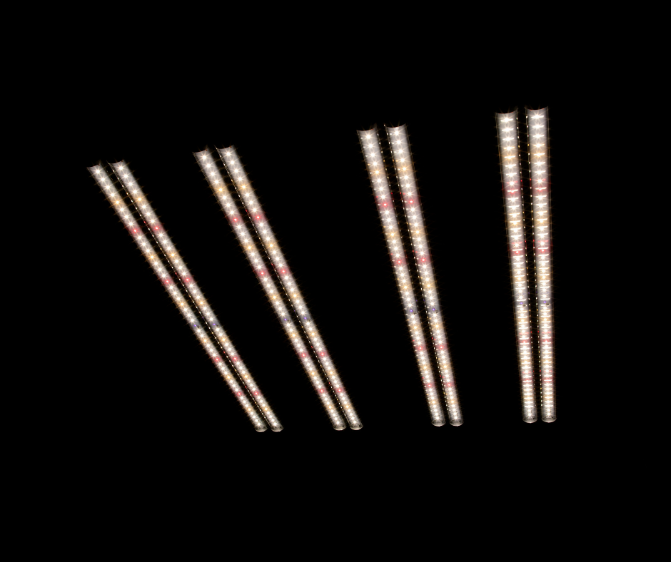 Carson 3' x 3' Hypernova