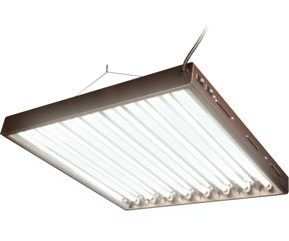 Agrobrite Designer T5 2' Fixture with Lamps