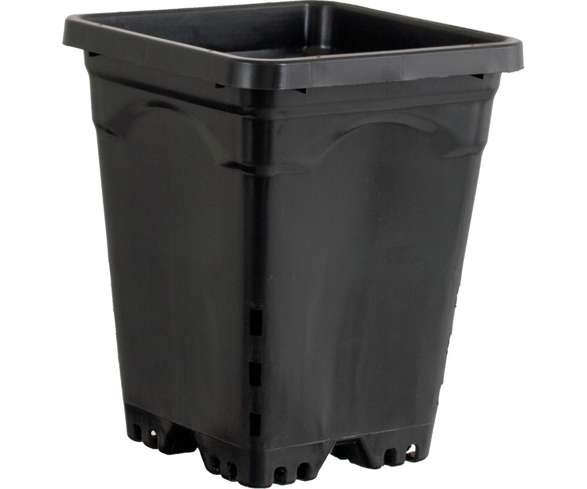 Active Aqua Square Black Pot