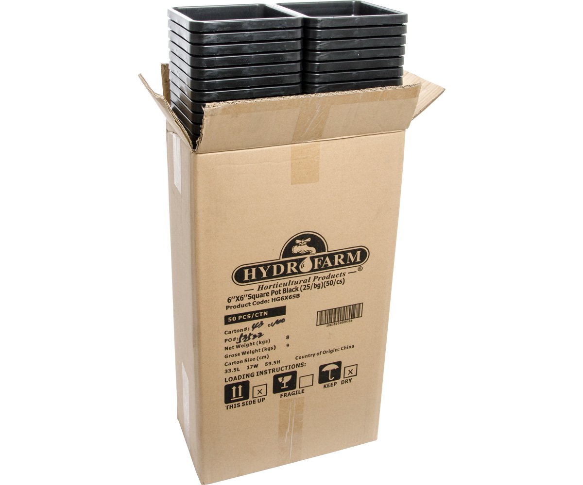 Active Aqua Square Black Pot