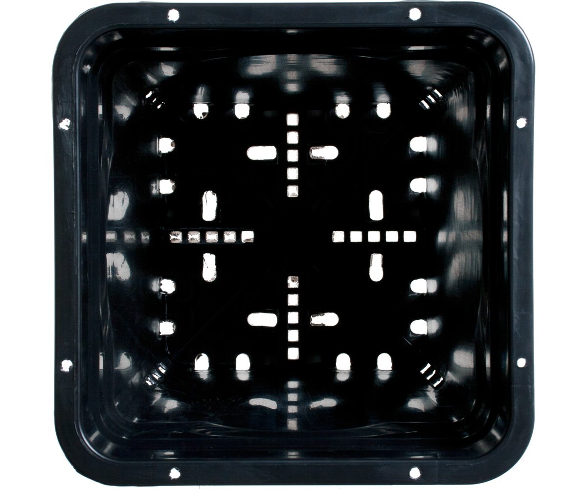 Active Aqua Square Black Pot