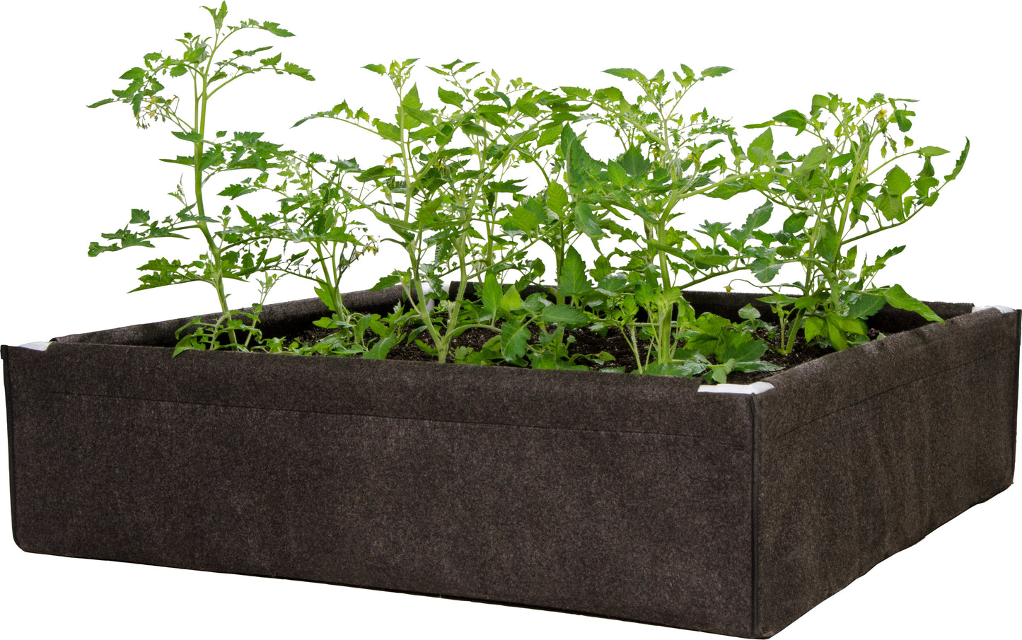 Dirt Pot Box Raised Bed