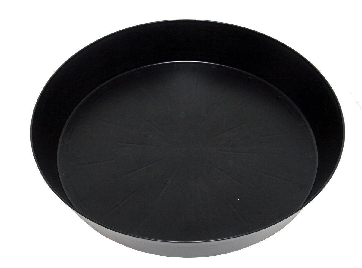 Super-Sized Black Saucers