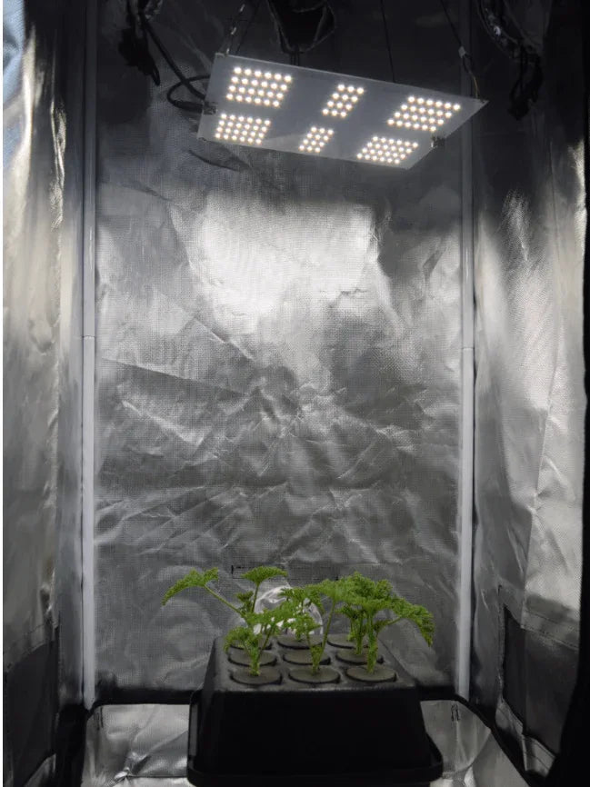 HLG 65 V2 - Midwest Grow LLC