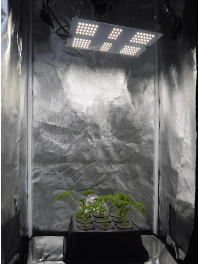 HLG 65 V2 - Midwest Grow LLC