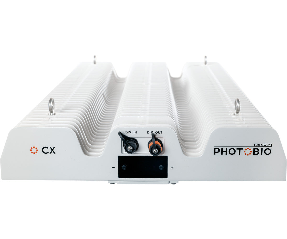 PHOTOBIO CX 2125 850W S4