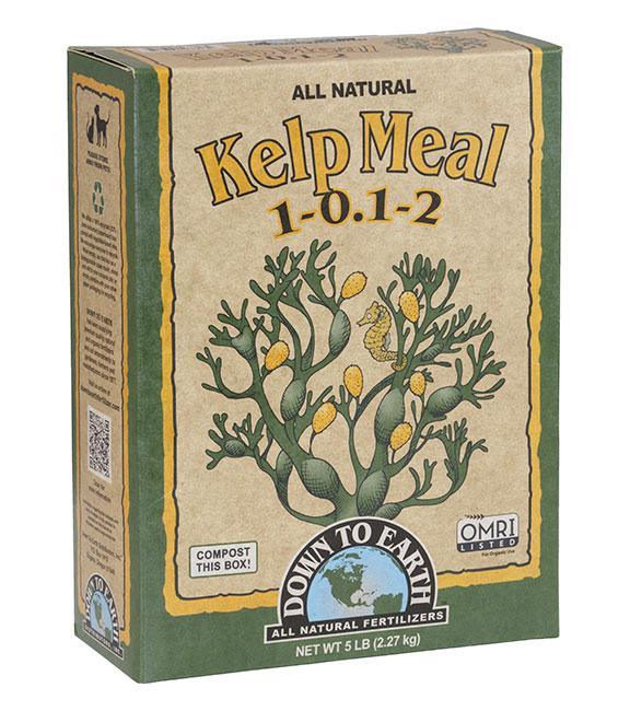 Down to Earth Kelp Meal 1-0.1-2 5lb - Midwest Grow LLC