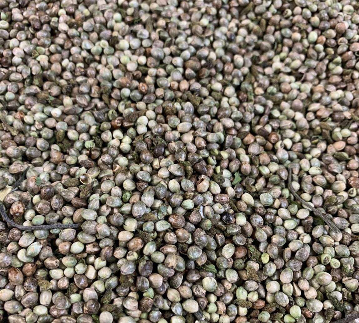 Eclipse-Midwest Grow Co