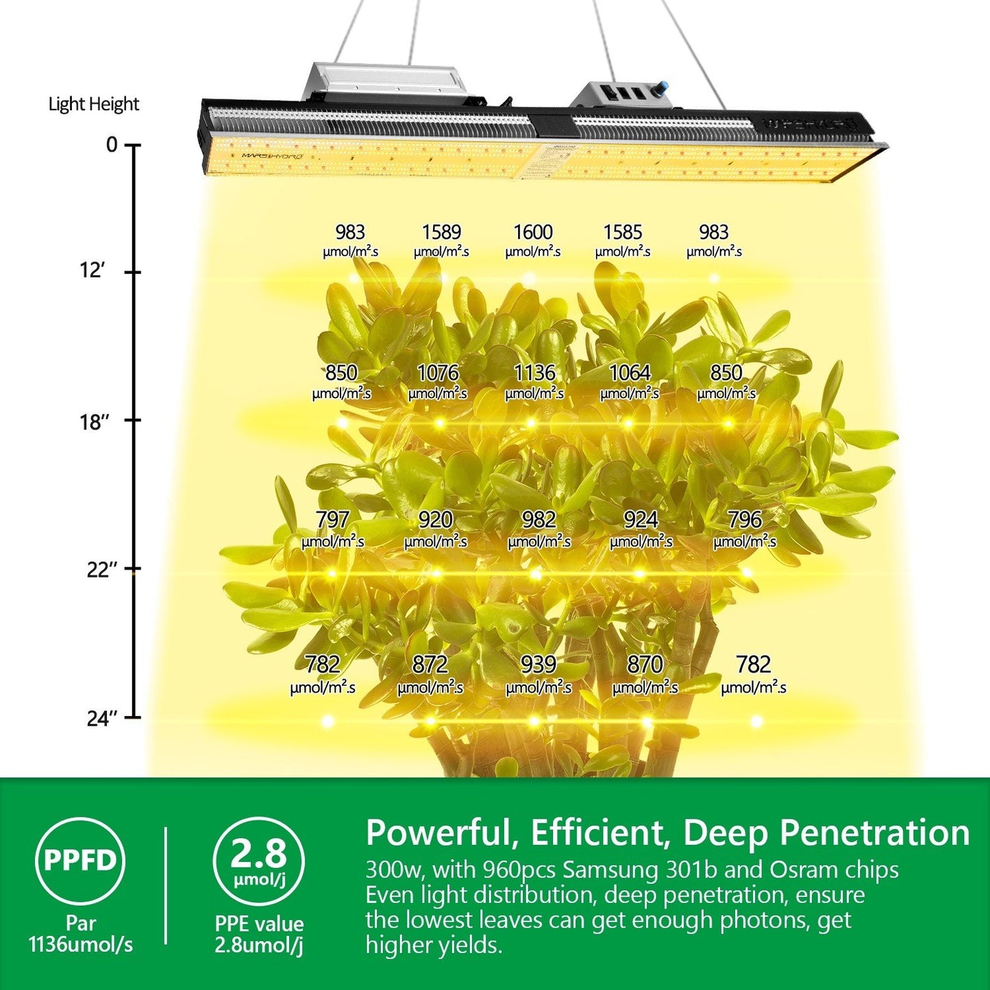 MARS HYDRO SP 3000 SAMSUNG LM301B OSRAM 300W LED GROW LIGHT