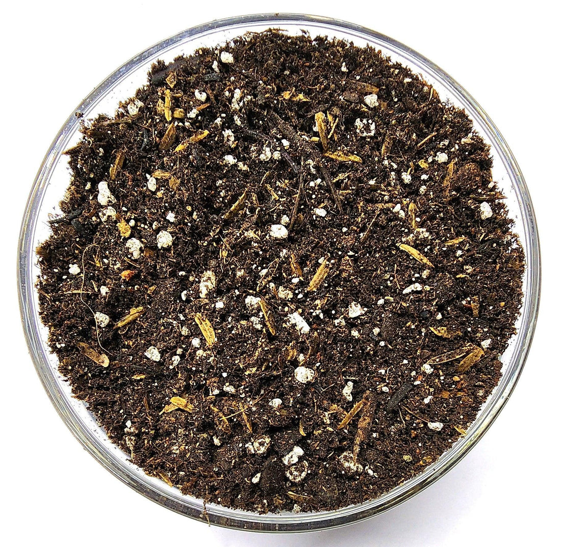 What Is Living Soil?