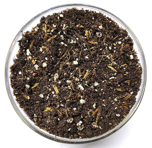 What Is Living Soil?