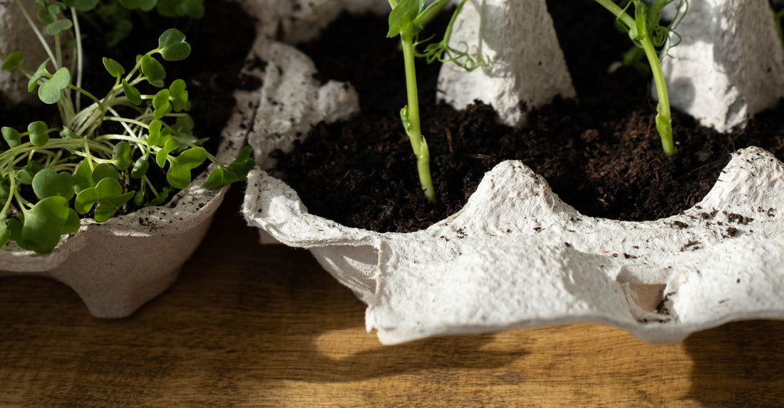 4 Advantages of Hydroponic Growing - Midwest Grow LLC