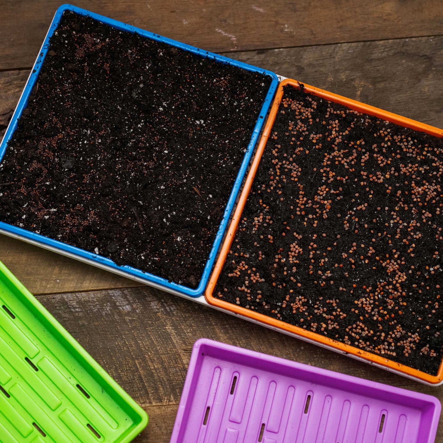 1010 Extra Strength Shallow Seed Trays - Midwest Grow LLC
