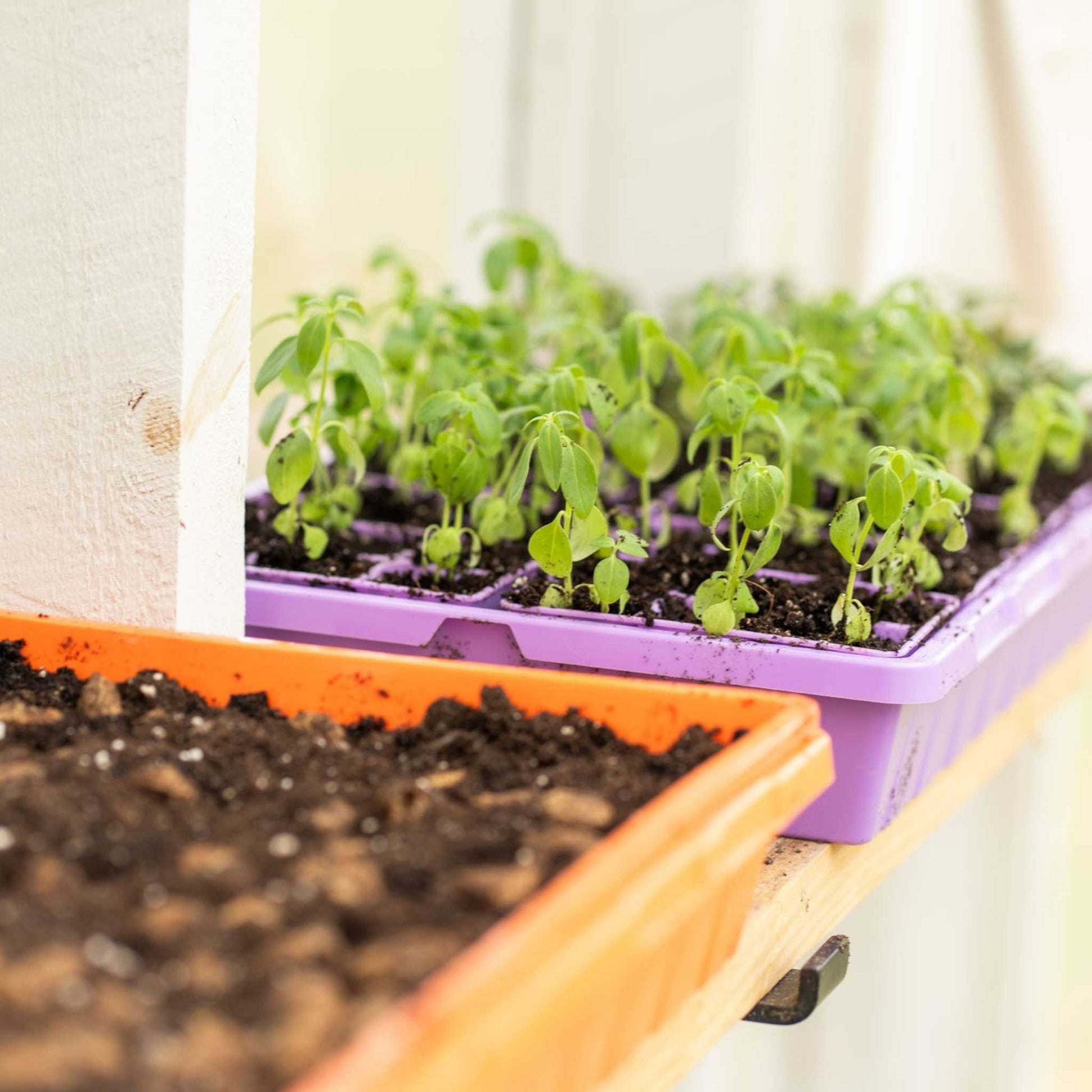 1020 Extra Strength Trays - Colors - Midwest Grow LLC